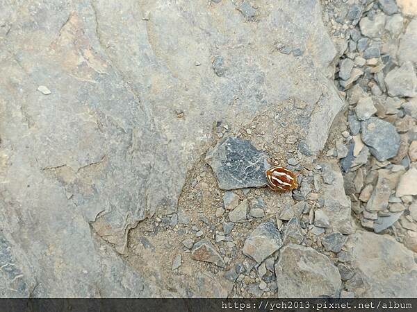 南投景點/輕鬆登頂石門山 南投景點/輕鬆登頂石門山