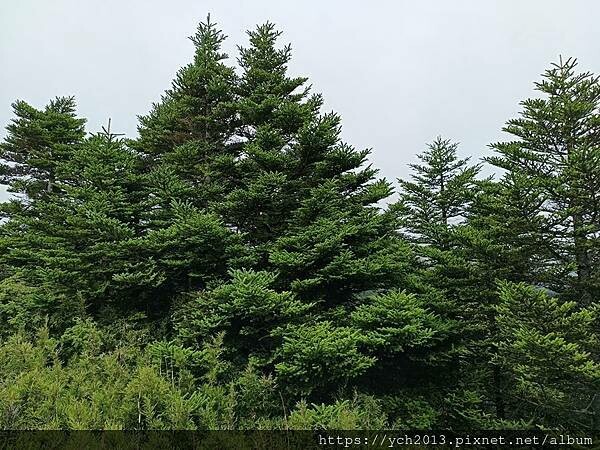 南投景點/輕鬆登頂石門山 南投景點/輕鬆登頂石門山