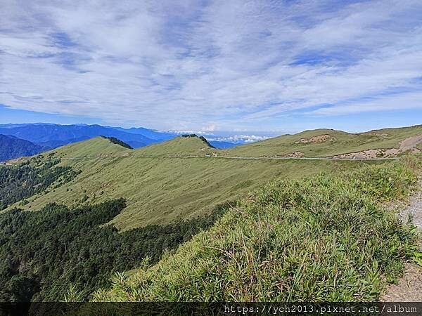 南投景點／合歡山前哨／鳶峰、昆陽、武嶺賞七月高山草花