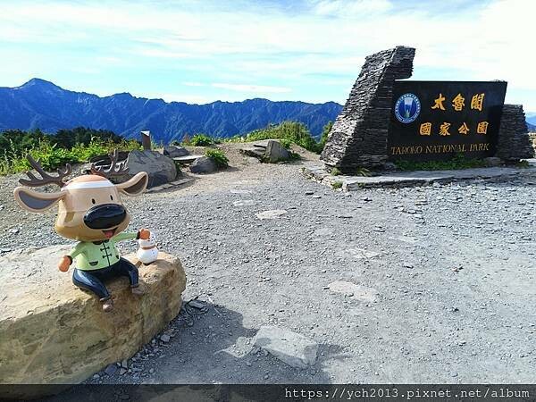 南投景點／合歡山前哨／鳶峰、昆陽、武嶺賞七月高山草花