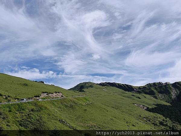 南投景點／合歡山前哨／鳶峰、昆陽、武嶺賞七月高山草花
