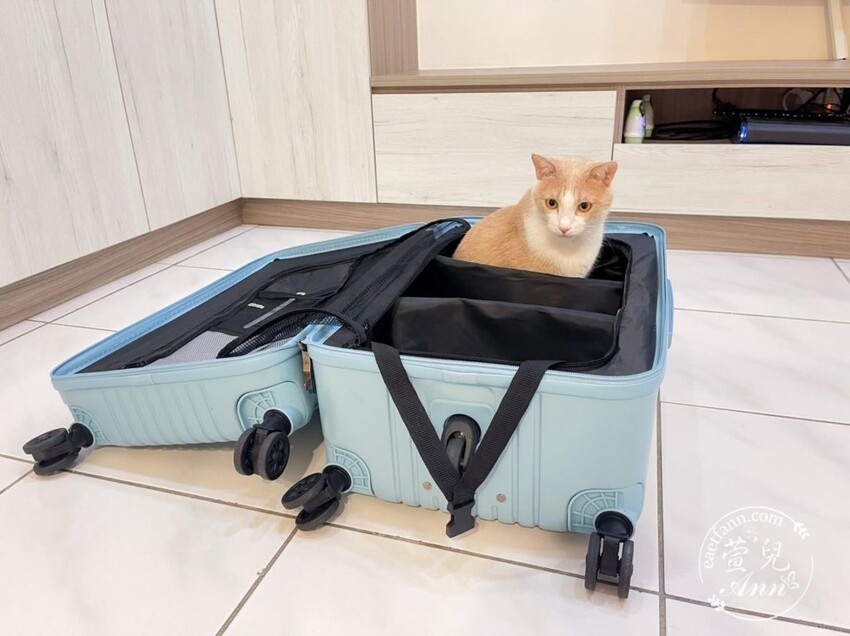 Doris朵莉絲行李箱 極o能裝系列 絲滑360度旋轉雙軸心剎車輪 抗撞耐摔 - 萱兒Ann玩樂生活