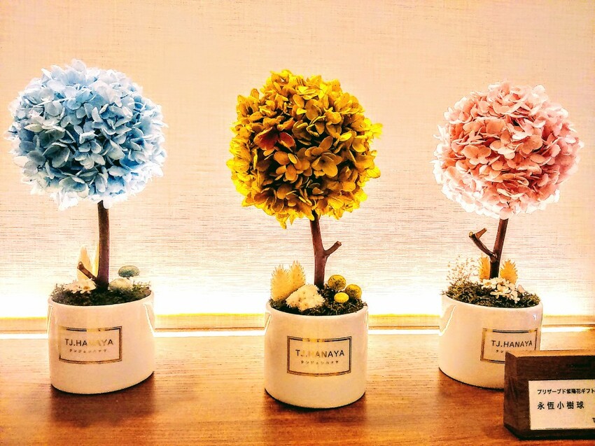 【生活】台北東區花店「TJ.HANAYA-緹緁花屋」永生花繽