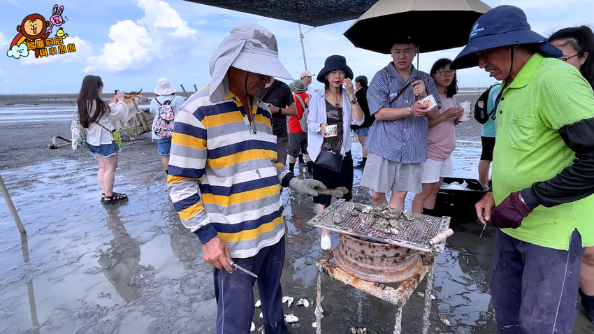 芳苑海牛車初體驗，採蚵、洗蚵、挖蛤蜊，摸蚵仔兼洗褲