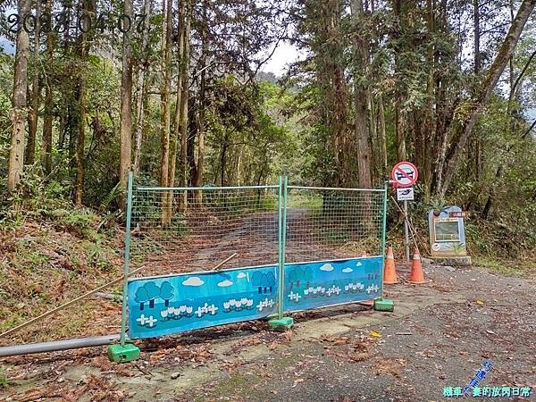 [中部景點] 台中和平 巨人之手 2023年再訪 雪山坑環線