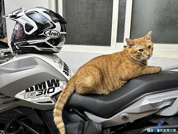 [部品] Arai Tour Cross V Discove