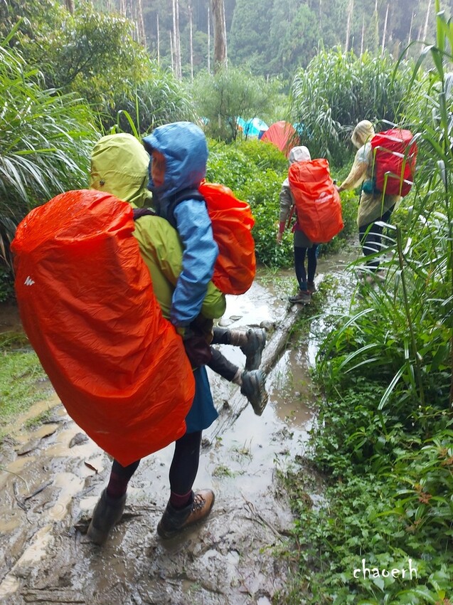 【登山 2天1夜】水漾森林➨鹿屈山➨鹿屈山前鋒 逆向O行縱