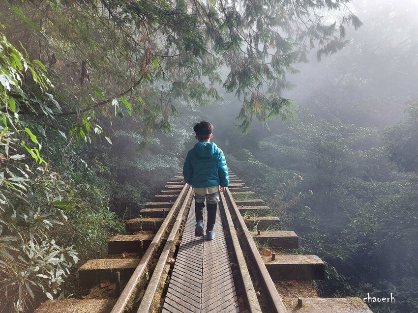 【健行】阿里山眠月線 森林鐵道