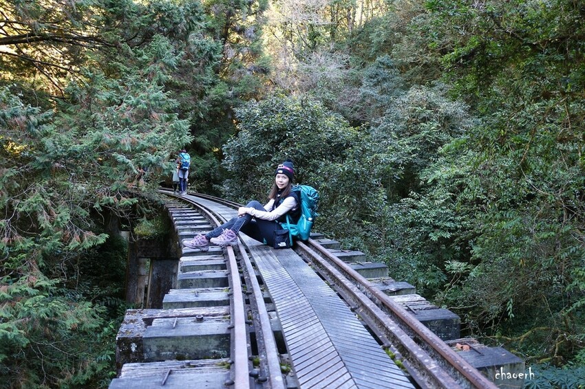 【健行】阿里山眠月線 森林鐵道