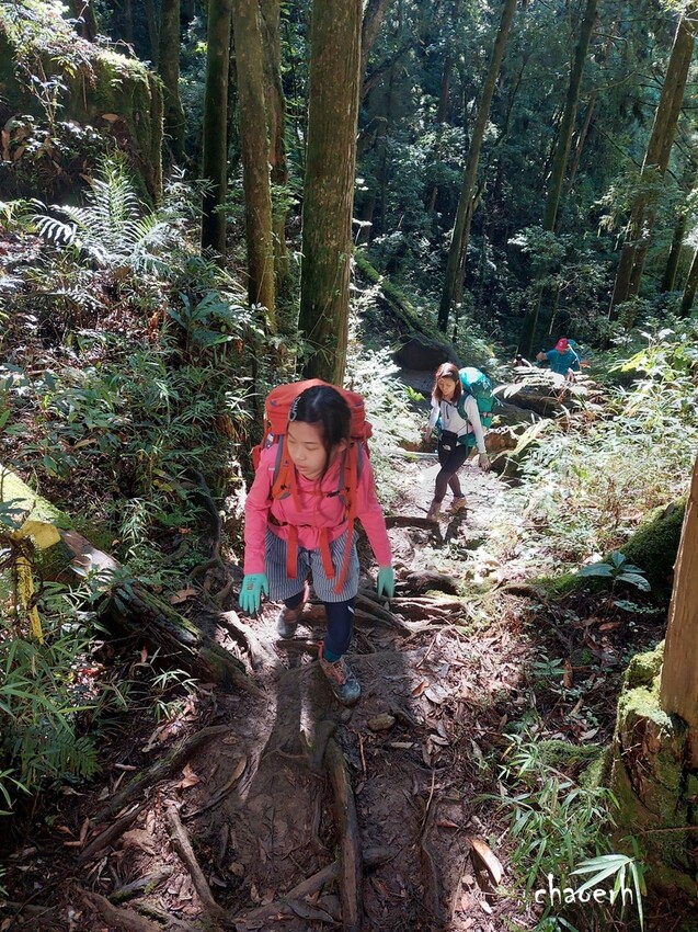 【登山 2天1夜】水漾森林➨鹿屈山➨鹿屈山前鋒 逆向O行縱