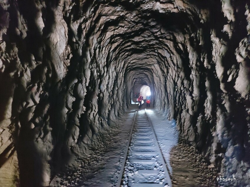 【健行】阿里山眠月線 森林鐵道