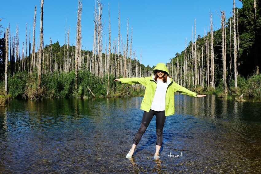 【登山 2天1夜】水漾森林➨鹿屈山➨鹿屈山前鋒 逆向O行縱