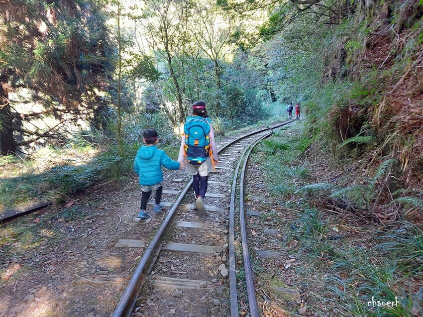 【健行】阿里山眠月線 森林鐵道