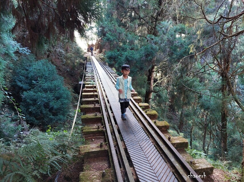 【健行】阿里山眠月線 森林鐵道