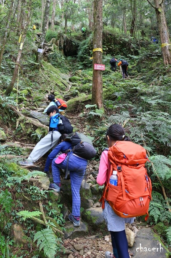 【登山 2天1夜】水漾森林➨鹿屈山➨鹿屈山前鋒 逆向O行縱