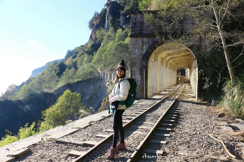 【健行】阿里山眠月線 森林鐵道