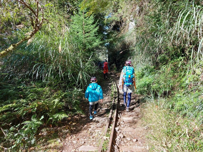 【健行】阿里山眠月線 森林鐵道