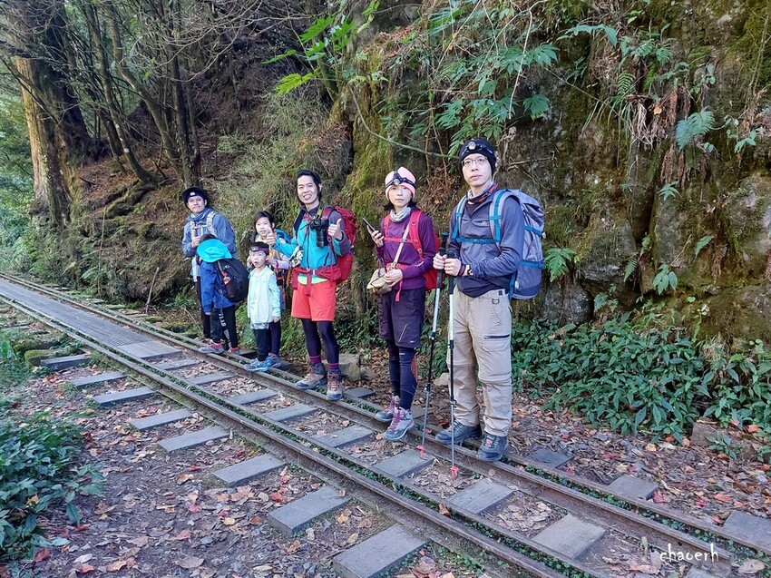 【健行】阿里山眠月線 森林鐵道