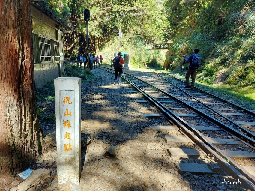 【健行】阿里山眠月線 森林鐵道