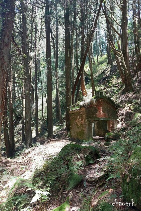 【登山 2天1夜】水漾森林➨鹿屈山➨鹿屈山前鋒 逆向O行縱