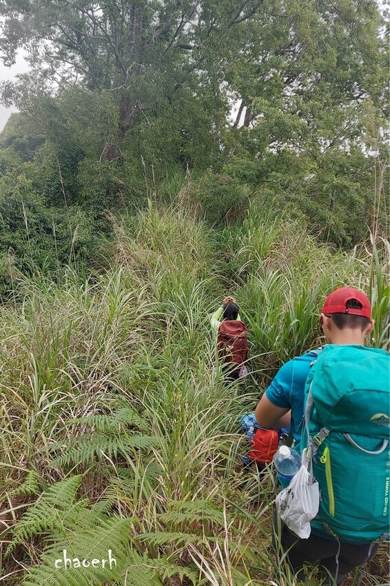 【登山 2天1夜】水漾森林➨鹿屈山➨鹿屈山前鋒 逆向O行縱