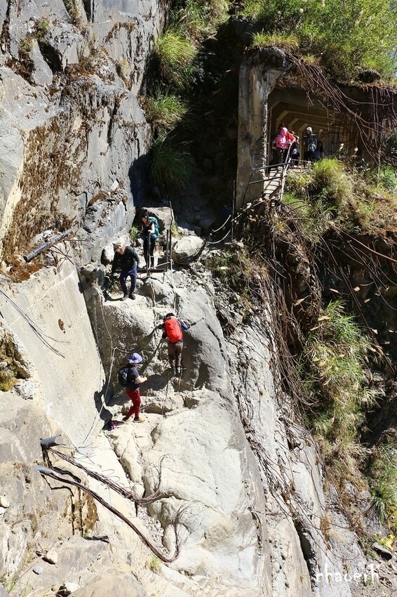 【健行】阿里山眠月線 森林鐵道