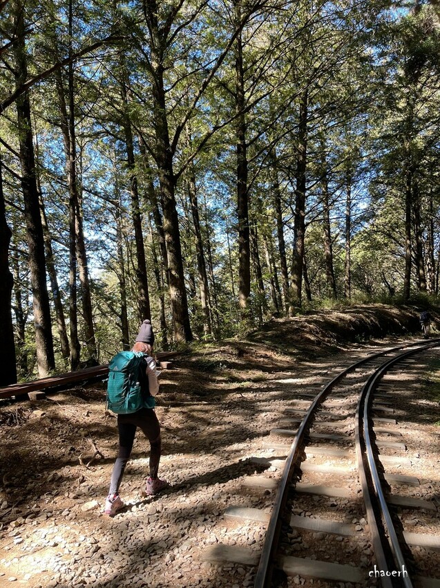 【健行】阿里山眠月線 森林鐵道
