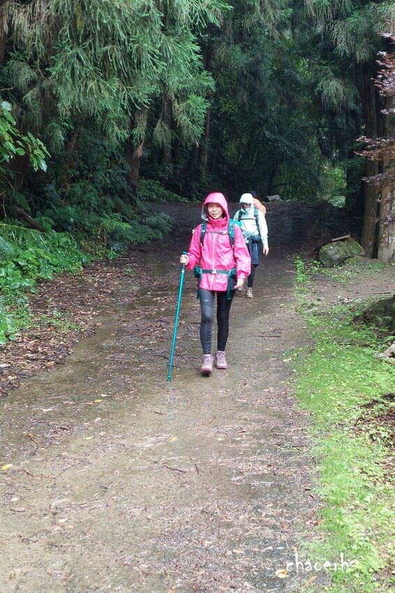 【登山 2天1夜】水漾森林➨鹿屈山➨鹿屈山前鋒 逆向O行縱