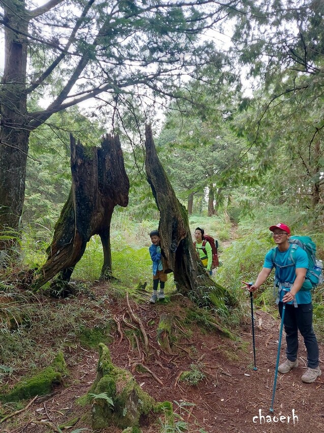 【登山 2天1夜】水漾森林➨鹿屈山➨鹿屈山前鋒 逆向O行縱