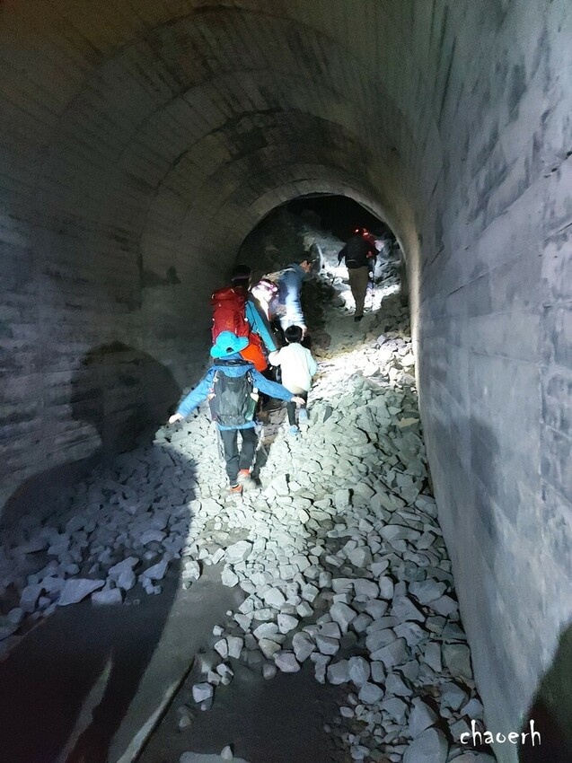 【健行】阿里山眠月線 森林鐵道