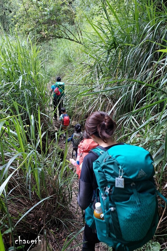 【登山 2天1夜】水漾森林➨鹿屈山➨鹿屈山前鋒 逆向O行縱