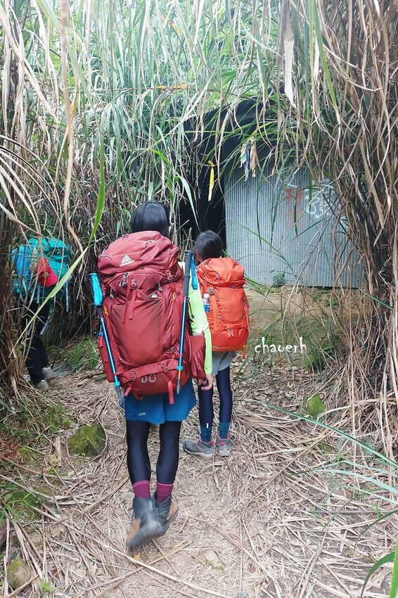 【登山 2天1夜】水漾森林➨鹿屈山➨鹿屈山前鋒 逆向O行縱