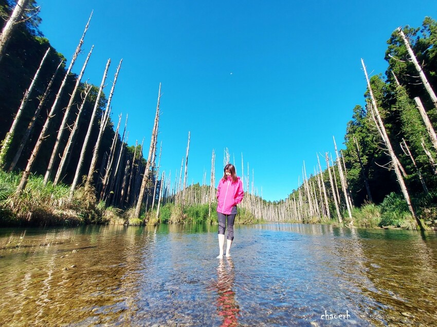 【登山 2天1夜】水漾森林➨鹿屈山➨鹿屈山前鋒 逆向O行縱