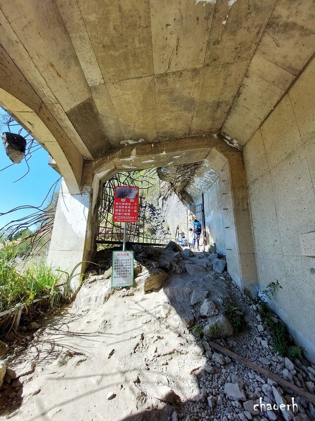 【健行】阿里山眠月線 森林鐵道
