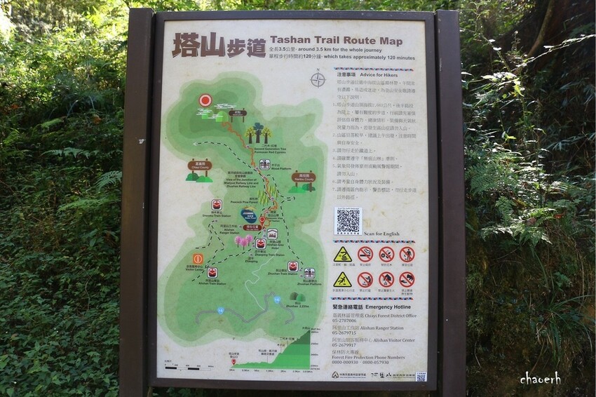 【健行】阿里山眠月線 森林鐵道