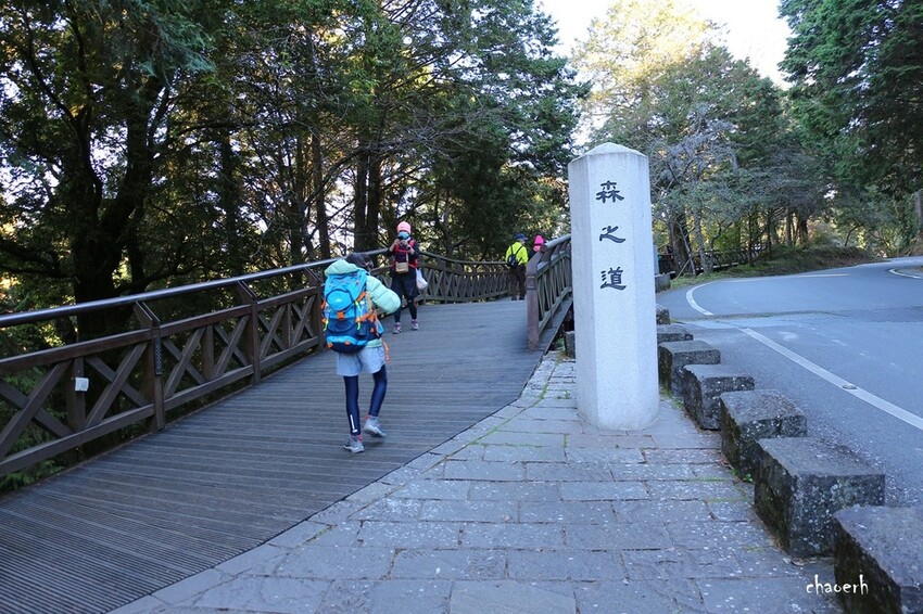【健行】阿里山眠月線 森林鐵道