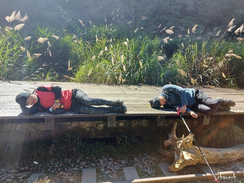 【健行】阿里山眠月線 森林鐵道