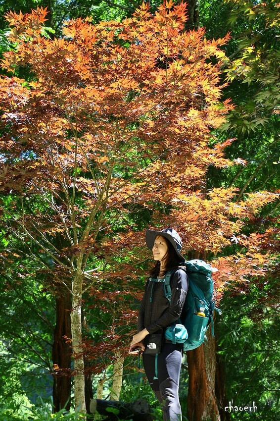 【登山 2天1夜】水漾森林➨鹿屈山➨鹿屈山前鋒 逆向O行縱