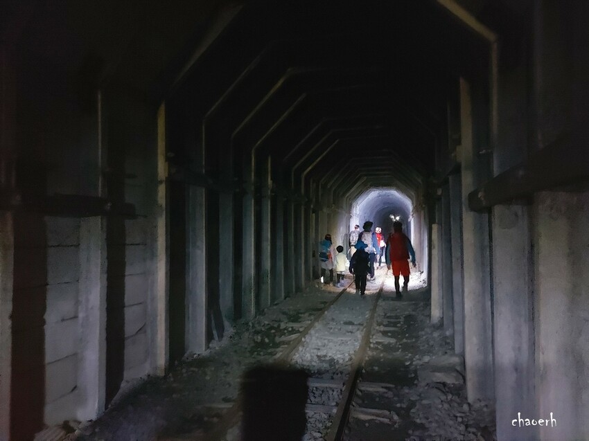 【健行】阿里山眠月線 森林鐵道