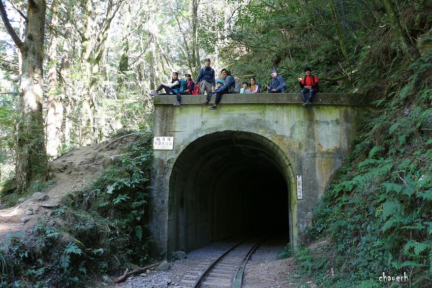 【健行】阿里山眠月線 森林鐵道