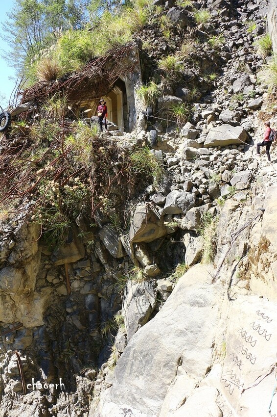 【健行】阿里山眠月線 森林鐵道