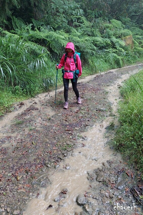 【登山 2天1夜】水漾森林➨鹿屈山➨鹿屈山前鋒 逆向O行縱