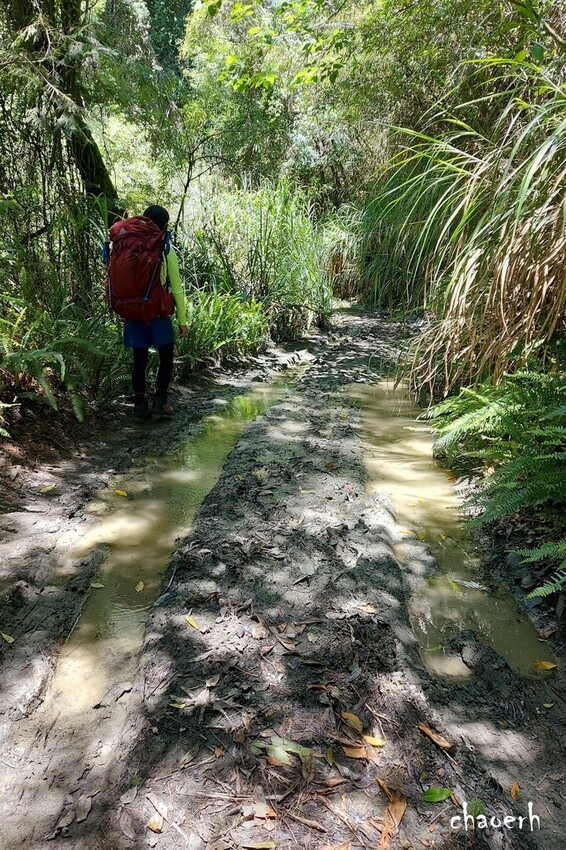 【登山 2天1夜】水漾森林➨鹿屈山➨鹿屈山前鋒 逆向O行縱