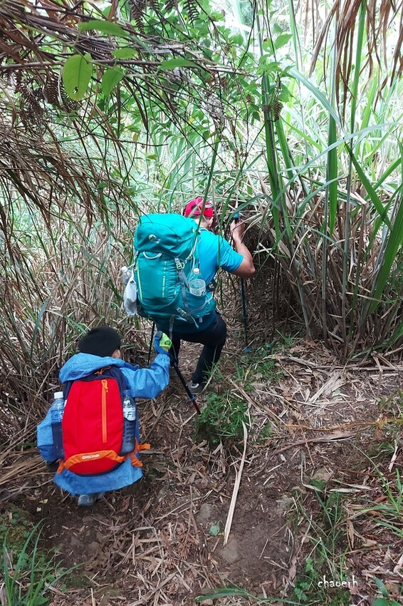 【登山 2天1夜】水漾森林➨鹿屈山➨鹿屈山前鋒 逆向O行縱