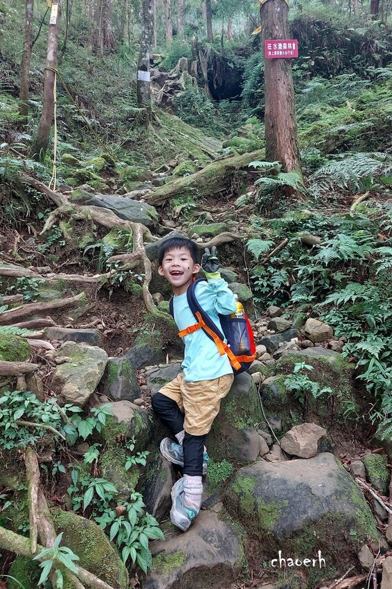 【登山 2天1夜】水漾森林➨鹿屈山➨鹿屈山前鋒 逆向O行縱