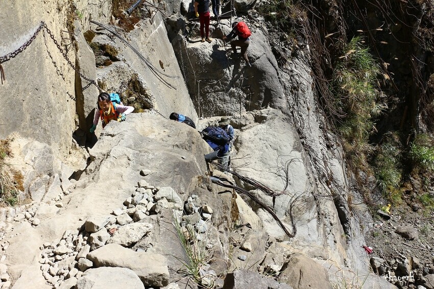 【健行】阿里山眠月線 森林鐵道