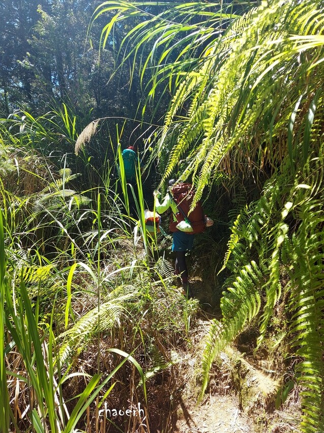 【登山 2天1夜】水漾森林➨鹿屈山➨鹿屈山前鋒 逆向O行縱