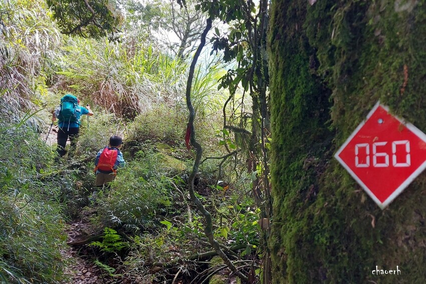【登山 2天1夜】水漾森林➨鹿屈山➨鹿屈山前鋒 逆向O行縱