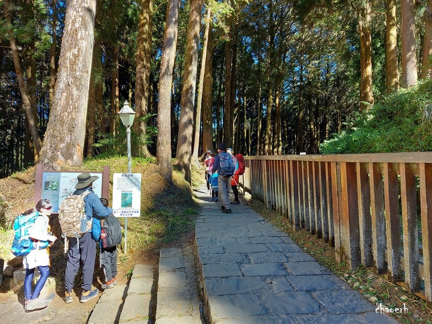 【健行】阿里山眠月線 森林鐵道