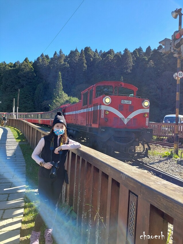 【健行】阿里山眠月線 森林鐵道